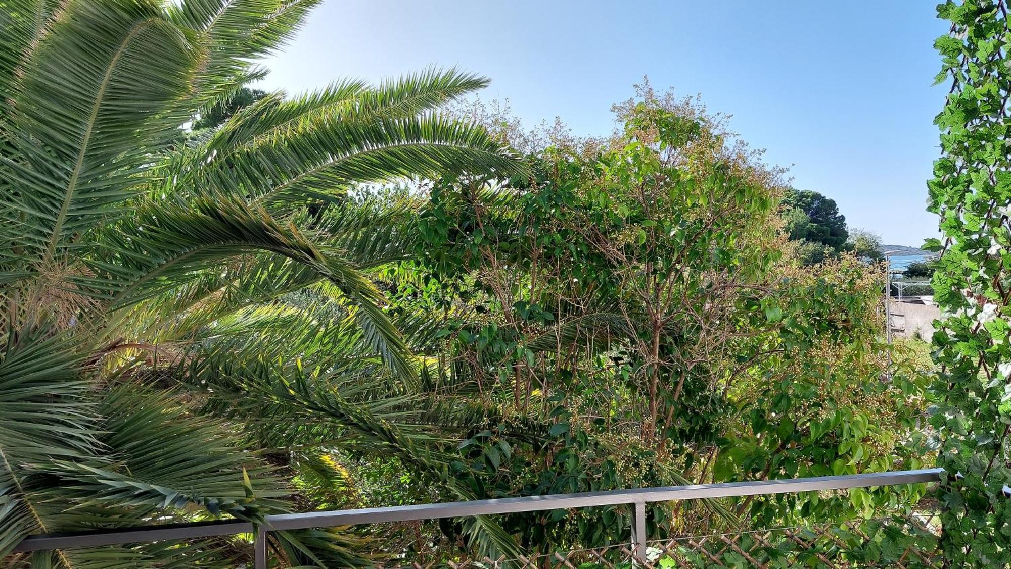 Boutique Apartments Refresh Vodice Quarto foto